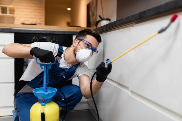 Best Wildlife Control Services  in Seminole, TX