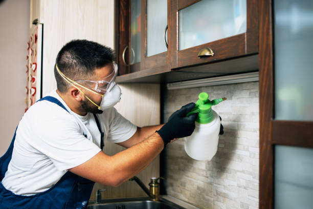 Best Residential Pest Control  in Seminole, TX