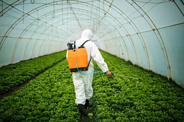 Best Affordable Pest Control Services  in Seminole, TX