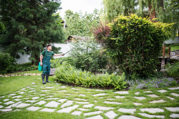 Best Pest Prevention Services  in Seminole, TX