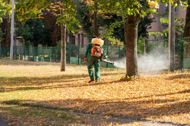 Best Wildlife Control Services  in Seminole, TX